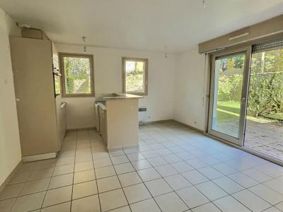 Annonce Vente 3 pi�ces Maison Neufchatel-hardelot 62