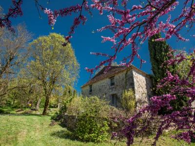 Annonce Vente 8 pi�ces Maison Villereal 47