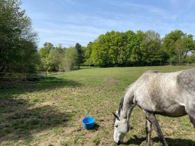 For sale Saint-auvent 7 rooms 217 m2 Haute vienne (87310) photo 3