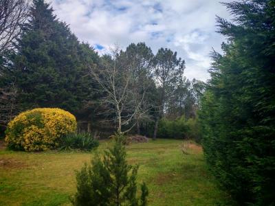 Acheter Maison 110 m2 Saint-vincent-de-paul