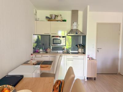 Annonce Vente 2 pi�ces Appartement Toulouse 31