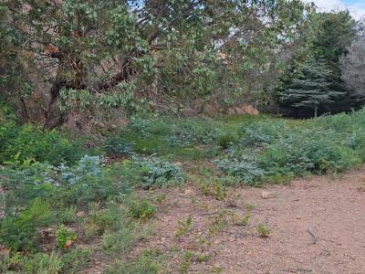 Acheter Terrain Mandelieu-la-napoule Alpes Maritimes