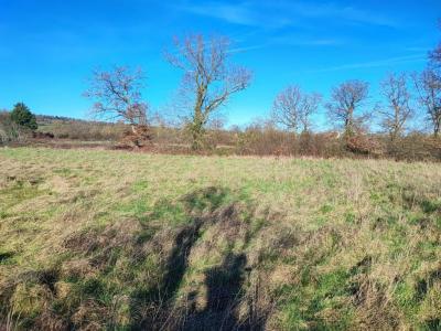 Annonce Vente Terrain Saint-amand-montrond 18