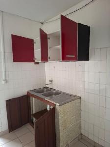 Louer Appartement 37 m2 Cayenne