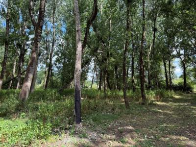 Acheter Maison Ruffec Charente