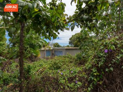 Annonce Vente 4 pi�ces Maison Ravine-des-cabris 974