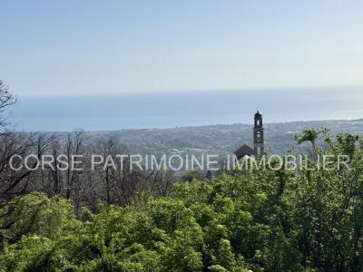 For sale Sant'andrea-di-cotone 5 rooms 75 m2 Corse (20221) photo 0