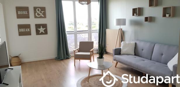 Annonce Location Appartement Orleans 45