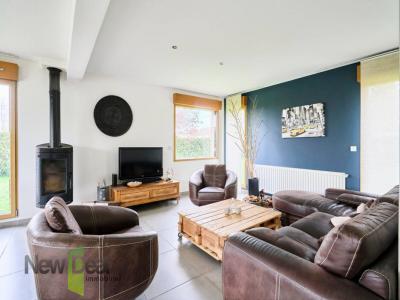 Annonce Vente 7 pi�ces Maison Sars-et-rosieres 59