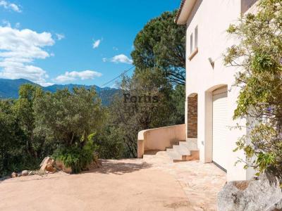 Annonce Vente 8 pi�ces Maison Sainte-lucie-de-porto-vecchio 20