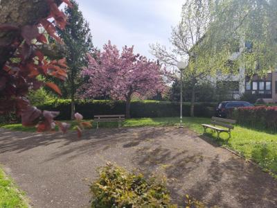 Annonce Location 3 pi�ces Appartement Stiring-wendel 57