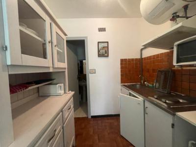 Annonce Location Appartement Amelie-les-bains 66