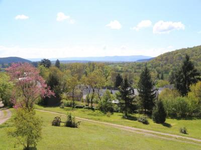 Acheter Prestige 385 m2 Celle-en-morvan