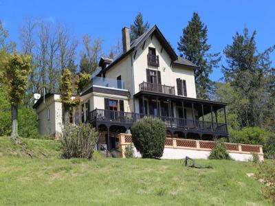 Acheter Prestige Celle-en-morvan 925000 euros