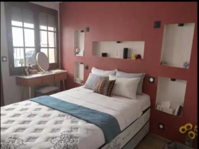 Acheter Appartement 46 m2 Thonon-les-bains