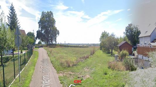 Annonce Vente 6 pi�ces Maison Gertwiller 67