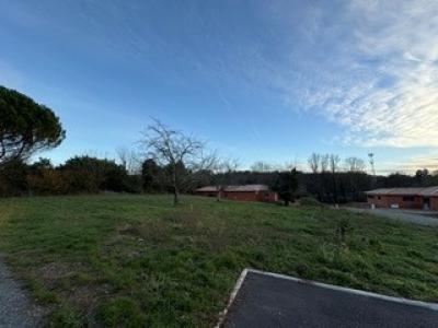 Annonce Vente Terrain Carignan-de-bordeaux 33