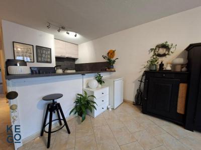 Louer Appartement Strasbourg 730 euros