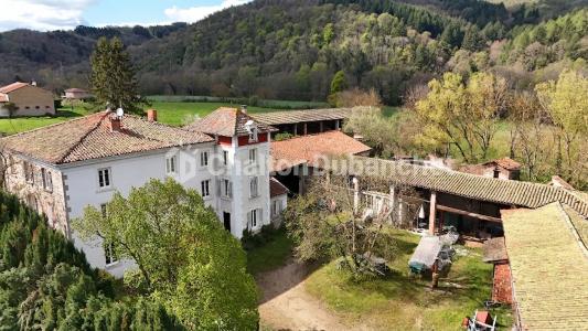 For sale Leigneux 10 rooms 300 m2 Loire (42130) photo 0