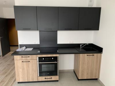 For rent Reims 2 rooms 38 m2 Marne (51100) photo 0