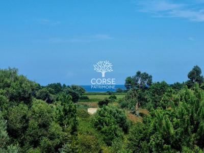 Annonce Vente Prestige Solaro 20