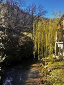 Acheter Maison Boisset