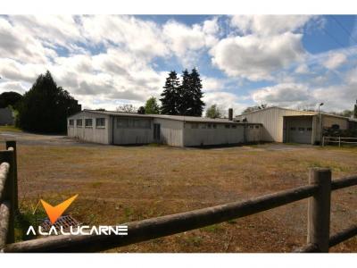 For sale Courlay 3 rooms 1000 m2 Deux sevres (79440) photo 3