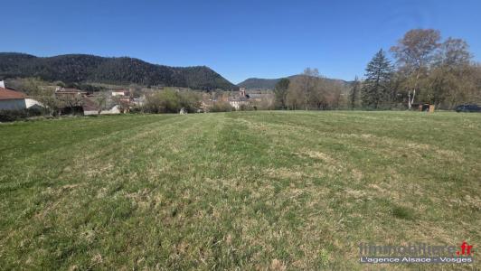 Annonce Vente Terrain Etival-clairefontaine 88