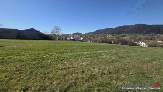 Acheter Terrain 6904 m2 Etival-clairefontaine