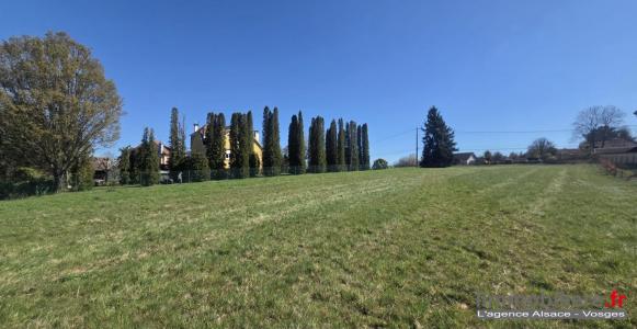 Acheter Terrain Etival-clairefontaine Vosges