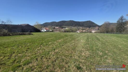 Acheter Terrain Etival-clairefontaine 63000 euros