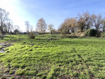 Annonce Vente 9 pi�ces Maison  01