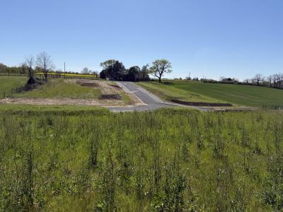 Annonce Vente Terrain  81
