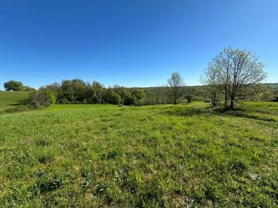 For sale Corgnac-sur-l'isle 2900 m2 Dordogne (24800) photo 0