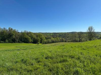 Annonce Vente Terrain Corgnac-sur-l'isle 24