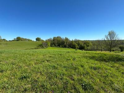 Acheter Terrain 2900 m2 Corgnac-sur-l'isle