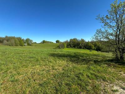 Acheter Terrain Corgnac-sur-l'isle Dordogne