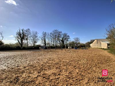 Acheter Terrain 32767 m2 Sampans