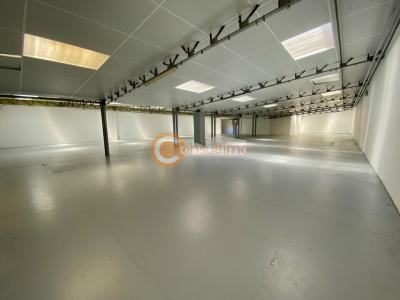 For rent Artigues-pres-bordeaux 694 m2 Gironde (33370) photo 3