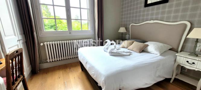 Annonce Vente Commerce Dhuizon 41