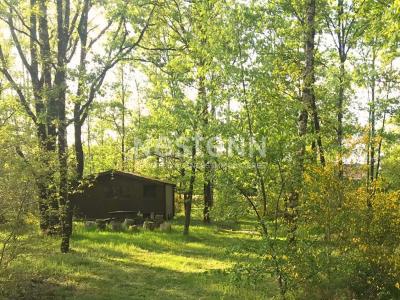 For sale Pruniers-en-sologne 7 rooms 170 m2 Loir et cher (41200) photo 3