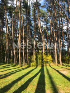 For sale Pruniers-en-sologne 7 rooms 170 m2 Loir et cher (41200) photo 4