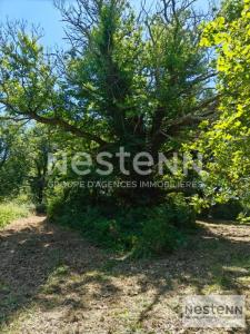 For sale Chemery LE-CONTROIS-EN-SOLOGNE 32767 m2 Loir et cher (41700) photo 2