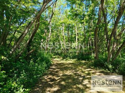 For sale Chemery LE-CONTROIS-EN-SOLOGNE 32767 m2 Loir et cher (41700) photo 4