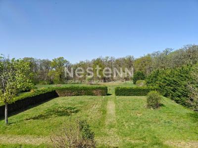 Annonce Vente Prestige Cour-cheverny 41