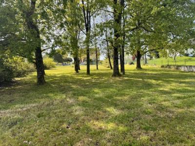 Acheter Terrain Vasselay Cher