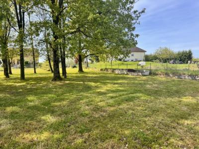 Acheter Terrain Vasselay 49500 euros