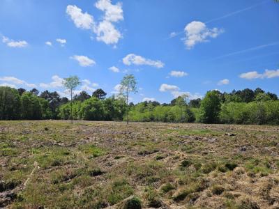 Acheter Maison Tuzan 199900 euros