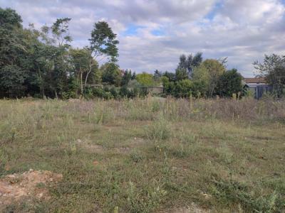 For sale Castres-gironde 500 m2 Gironde (33640) photo 0