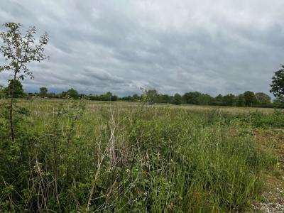 For sale Saint-jean 800 m2 Haute garonne (31240) photo 0